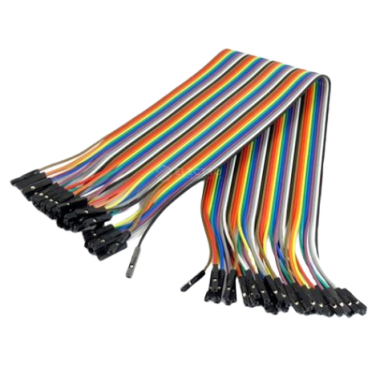 20 cm Dupont from CanHobby.ca